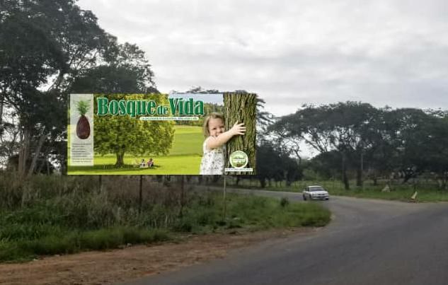 Proyecto Basura Cero plantea modelo integral de gestión de residuos y economía circular