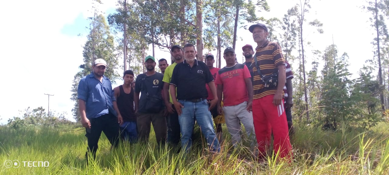 Sigue paralizado corte de eucalipto en Casacoima y productores esperan por el Minec