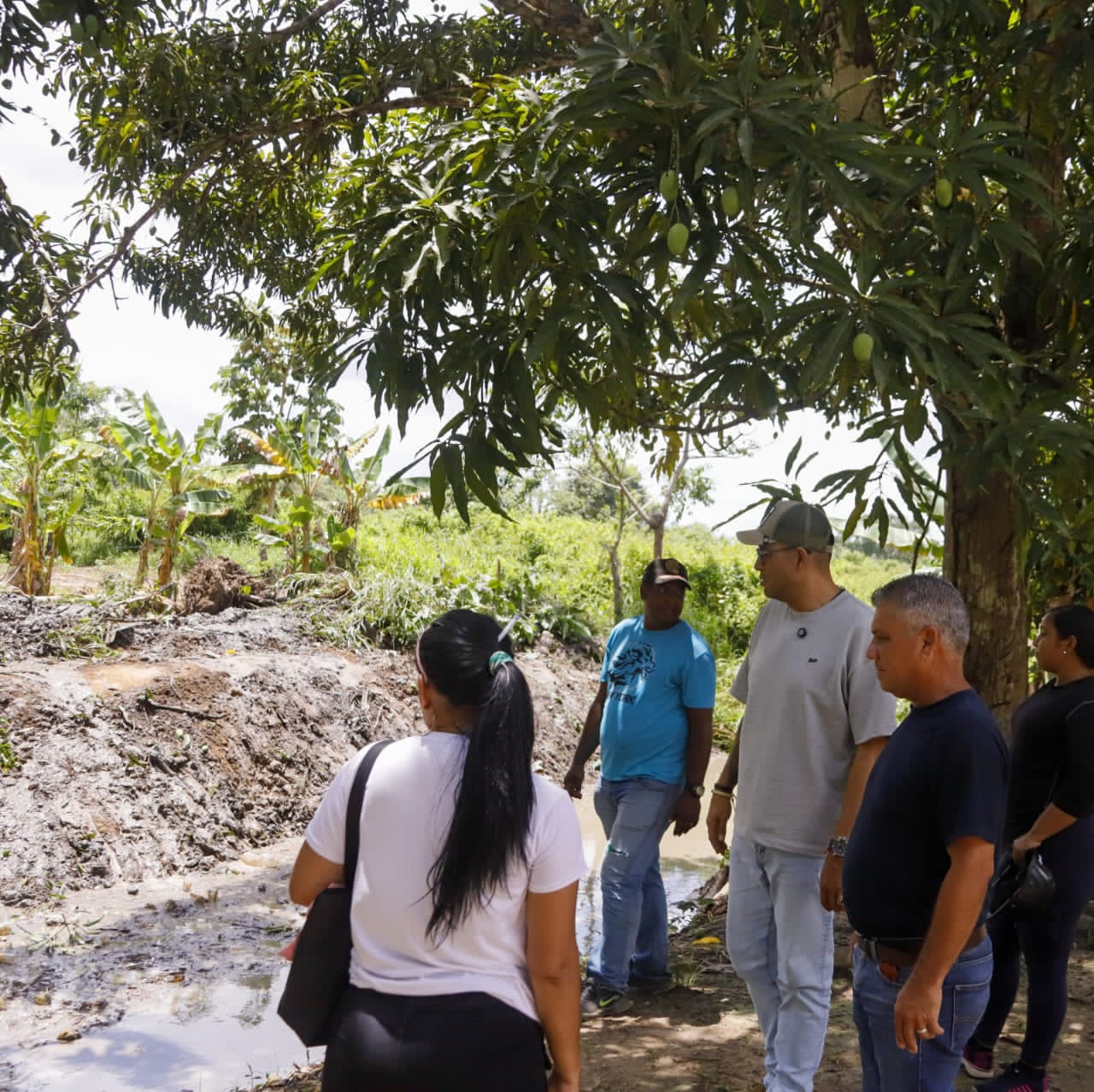 Alcaldía de Tucupita inició mantenimiento preventivo de canales de drenaje en la parroquia Juan Millán