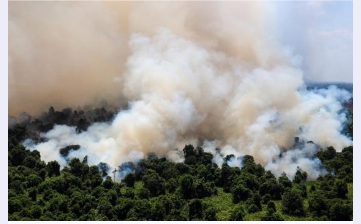 Humo de los incendios forestales paraliza vuelos y amenaza la salud de millones en el Sudeste Asiático